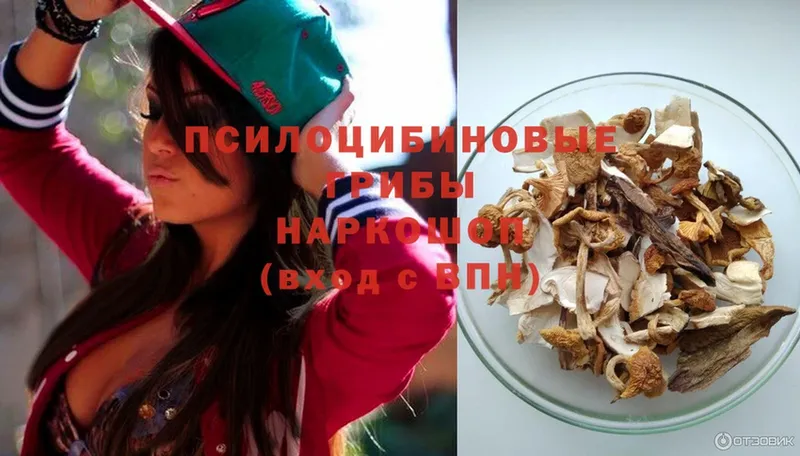 Псилоцибиновые грибы Cubensis  Калачинск 